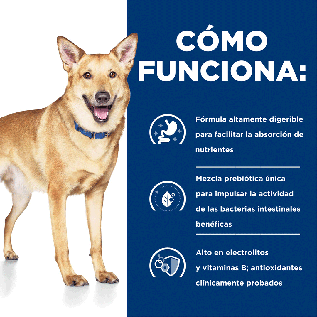Hills i/d Digestive Care - Alimento para Perro Hills i/d Digestive Care - Alimento para Perro